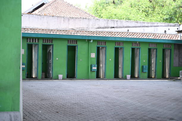 Best Luxury portable toilet rental  in Cosmopolis, WA